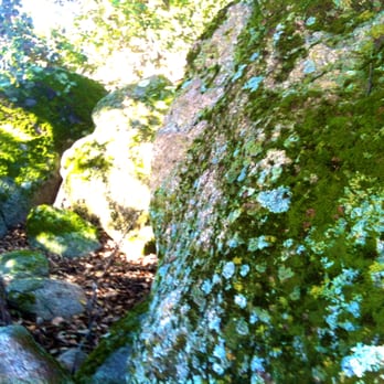 Merigan Trail - Moss covered boulders in the oak grove. - Hiking Near Me - Julian, California
