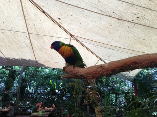 Wildlife Habitat by null