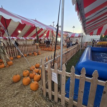 The Pumpkin Patch - Pumpkin Patches Near Me - Placentia, California