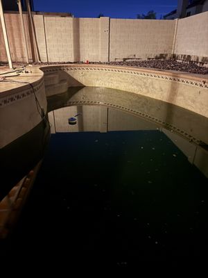 Swamp pool acid wash - This pool had been neglected for many months and was completely full of debris. The pool needed to be acid washed to remove a layer of grime that could not be removed any other way. 

The equipment also had problems and needed to serviced as well.