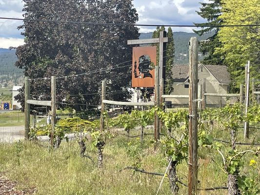 Three Sisters Winery by null
