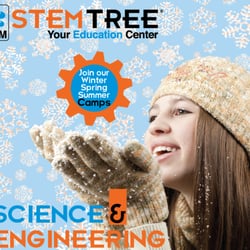 Stemtree - Join our Winter Camp!