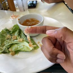 This is plastic that came nicely fried & breaded in the  Calamari I ordered...