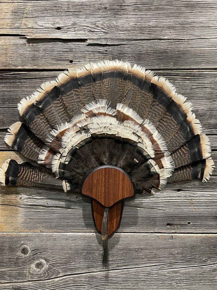 RIDGELINE TAXIDERMY Updated June 2024 Request Information