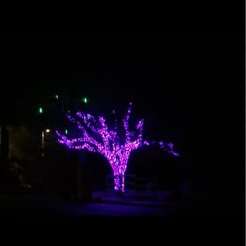 Candy Cane Lane - Local Flavor Near Me - Cave Creek, Arizona Candy Cane Lane - Local Flavor Near Me - Cave Creek, Arizona