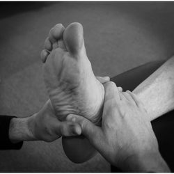 Champion Performance Chiropractic Rehab
