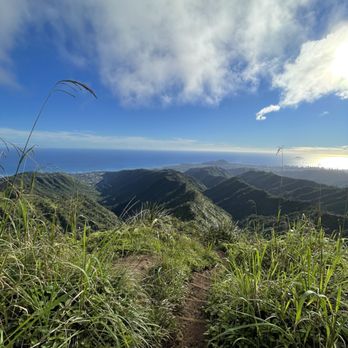 Wiliwilinui Ridge Trail - Hiking Near Me Wiliwilinui Ridge Trail - Hiking Near Me