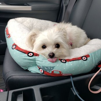 Maple Veterinary Hospital - Veterinarians Near Me - Troy, Michigan