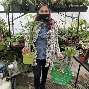Nelson's Greenhouse - Nurseries & Gardening Near Me - Canoga Park, California Nelson's Greenhouse - Nurseries & Gardening Near Me - Canoga Park, California