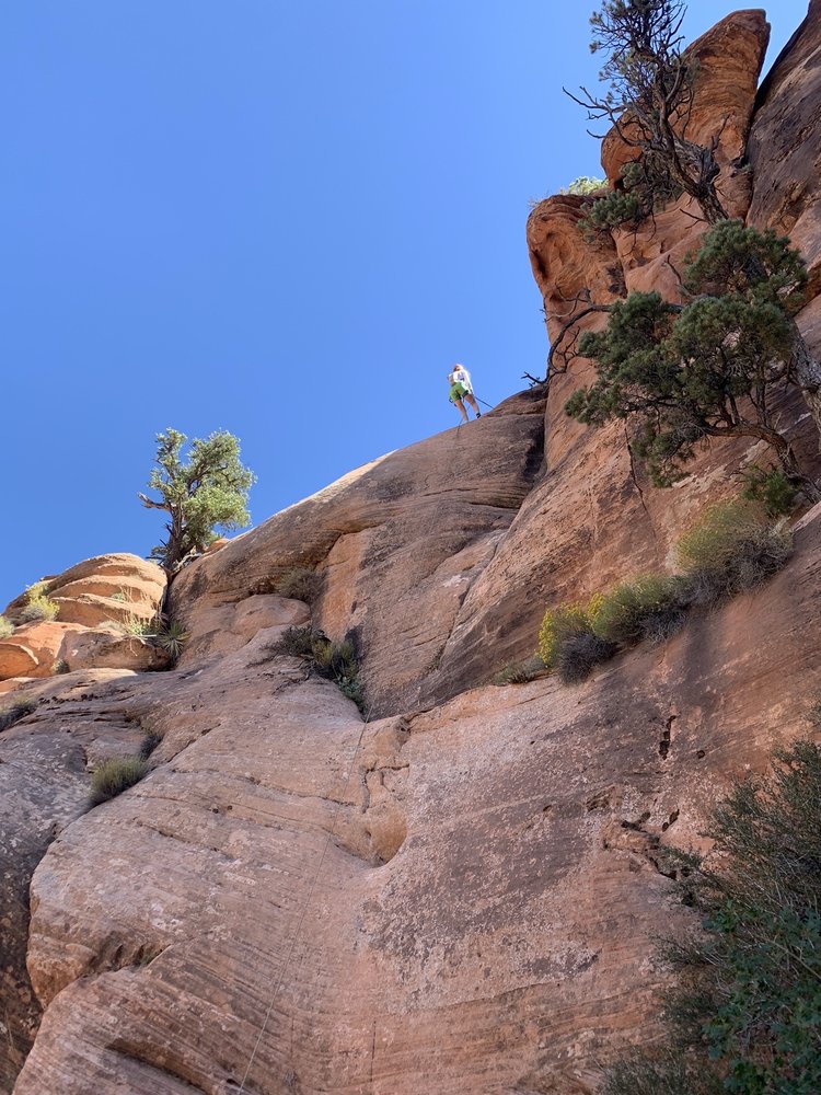 Zion Rock & Mountain Guides Logo