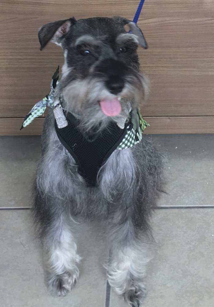 RTAILZ R WAGGIN PET SPA Updated September 2024 14 Photos 360 Emerald Forest Blvd