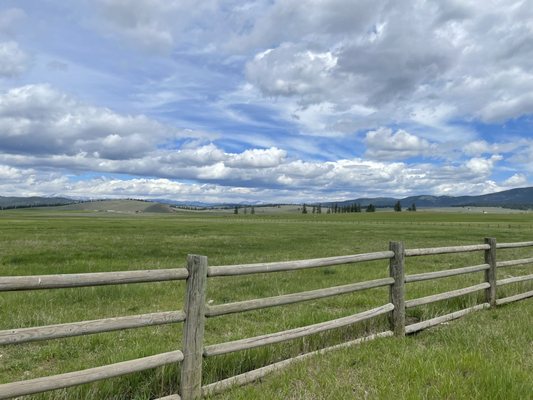 Paws Up Montana by null