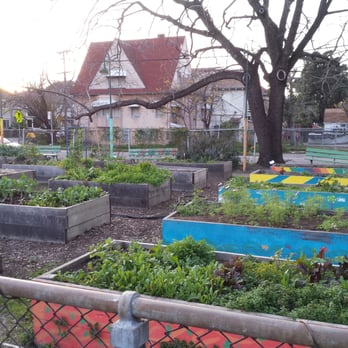 Mosswood Park - Community Garden - Parks Near Me - Oakland, California Mosswood Park - Community Garden - Parks Near Me - Oakland, California