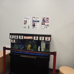 Henrietta Hankin Library