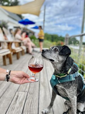 Two K Farms Cidery & Winery by null