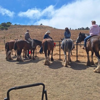 Covells Clydesdale Ranch - Clydesdales - Horseback Riding Near Me - Cambria, California