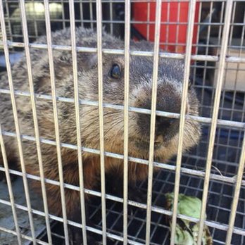 Scott’s Pest Solutions - Pest Control Near Me - Rochester, New York Scott’s Pest Solutions - Pest Control Near Me - Rochester, New York