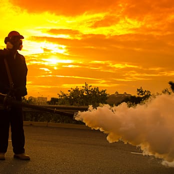 A-Team Termite & Pest Control - Pest Control Near Me A-Team Termite & Pest Control - Pest Control Near Me