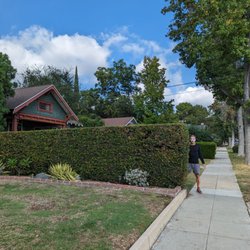 Halloween Hedge Scene