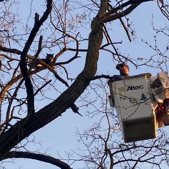 Navarro Tree Service - Tree Services Near Me Navarro Tree Service - Tree Services Near Me
