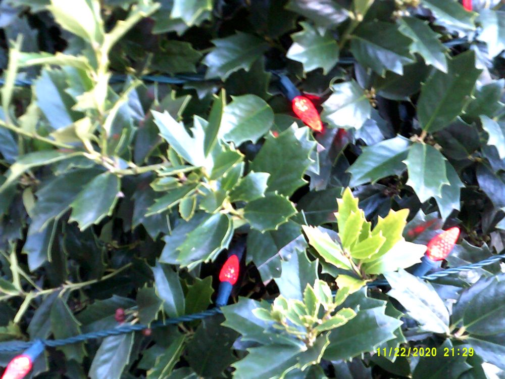 SUNSET FARM MARKET Updated October 2024 33 Photos & 31 Reviews