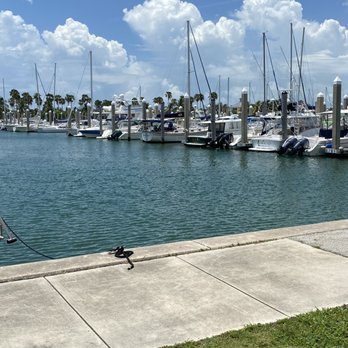 Diver's Paradise Miami - Scuba Diving Near Me - Key Biscayne, Florida