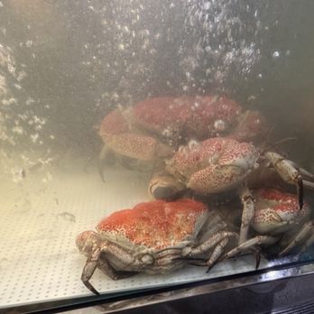 New Sydney Fish Market - King crabs - Seafood Markets Near Me - Glebe, NSW