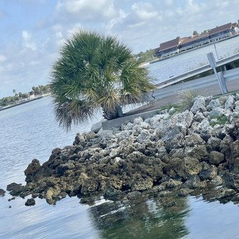 Sailport Waterfront Suites - The grounds - Hotels Near Me - Tampa, Florida Sailport Waterfront Suites - The grounds - Hotels Near Me - Tampa, Florida