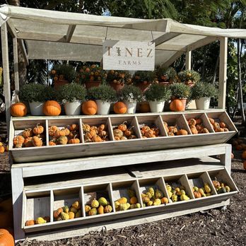 Tinez Farms - Attraction Farms Near Me - Miami, Florida Tinez Farms - Attraction Farms Near Me - Miami, Florida