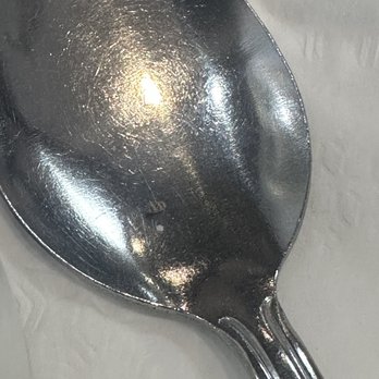 Ocha Classic Restaurant - The bug/insect - Thai Near Me - Panorama City, California