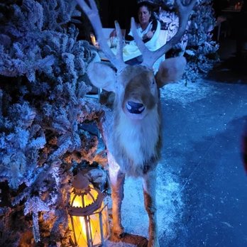 Cava - Animated deer - Italian Near Me - Southington, Connecticut