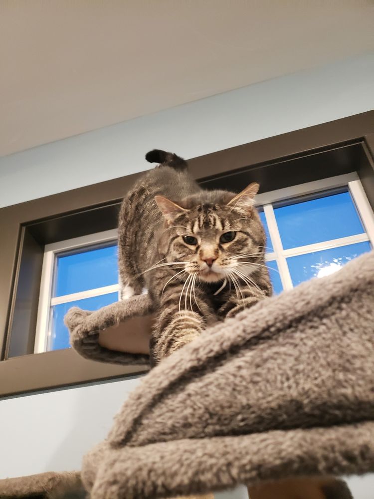 Dogbarn Pet Resort - equestrian in Billings, MT