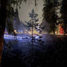Suspension bridge