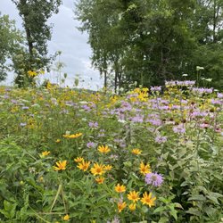 Waterfront Park - Summertime