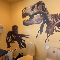 Lakeside Youth N Kids Pediatrics - LYNK Pediatrics - Dinosaur room