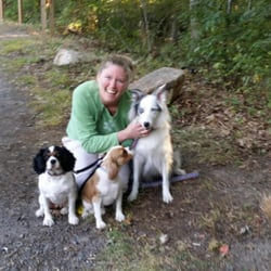 Billies Pet Care