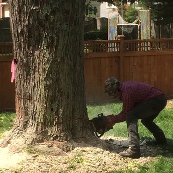 M&RG Tree Service - Tree Services Near Me - Lisle, Illinois