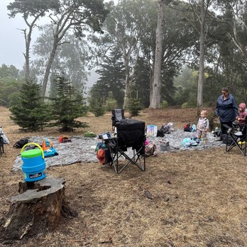 Little Forest Explorers - Preschools Near Me - San Francisco, California Little Forest Explorers - Preschools Near Me - San Francisco, California