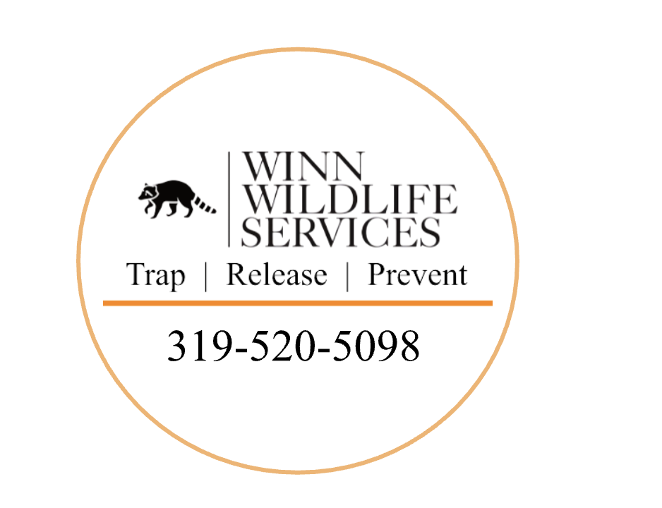 WINN WILDLIFE SERVICES Request Information Keokuk, Iowa Wildlife