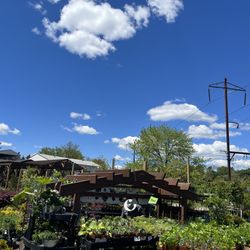 Primex Garden Center - I love the grounds here