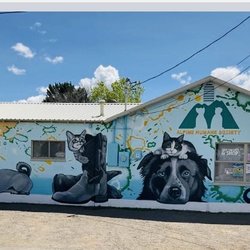 Alpine Humane Society Thrift Store and Cattery