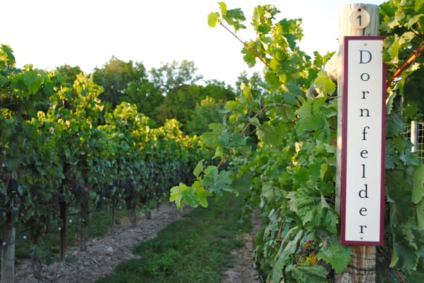 Red Tail Ridge Winery by null