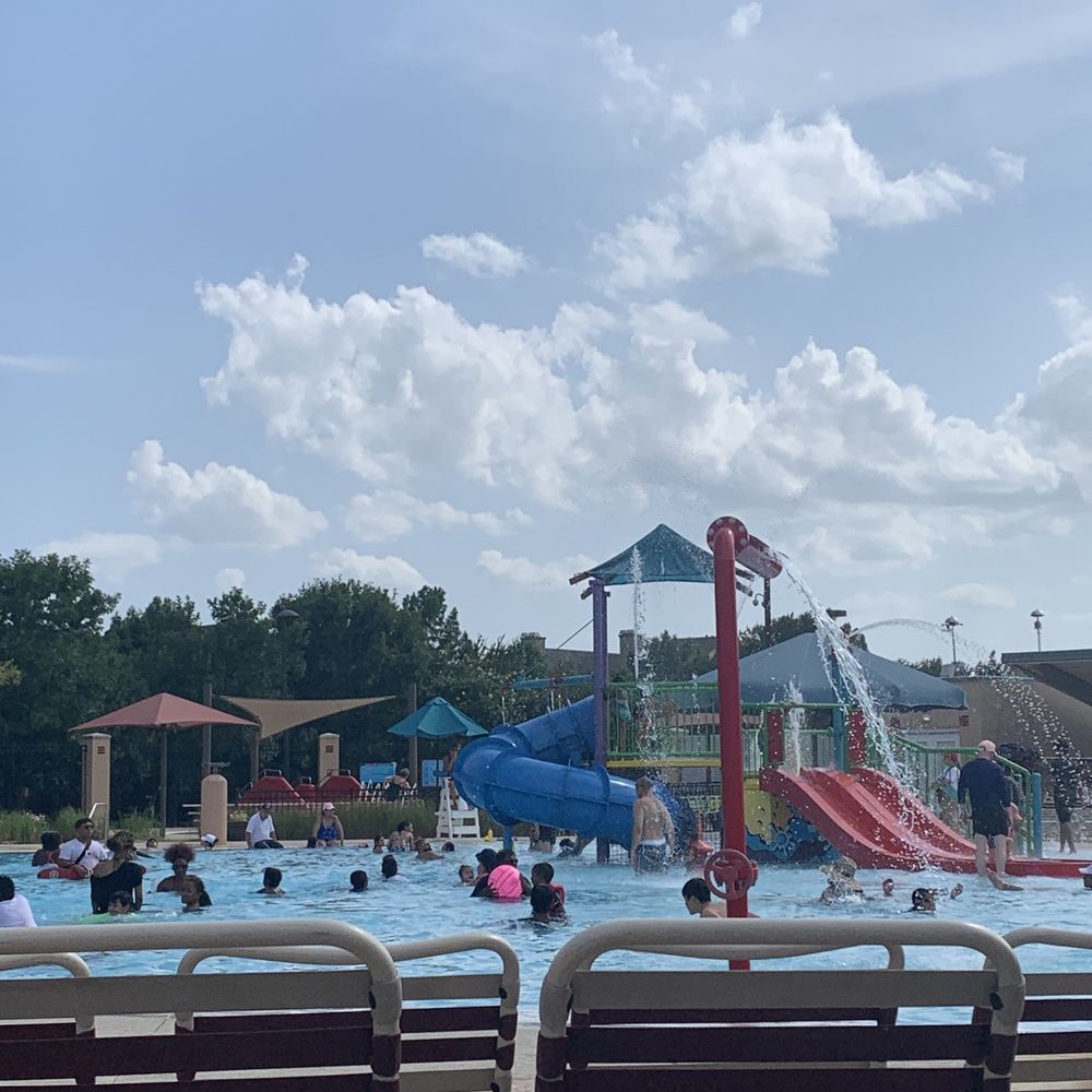 Dj Pool Service Flower Mound Best Flower Site