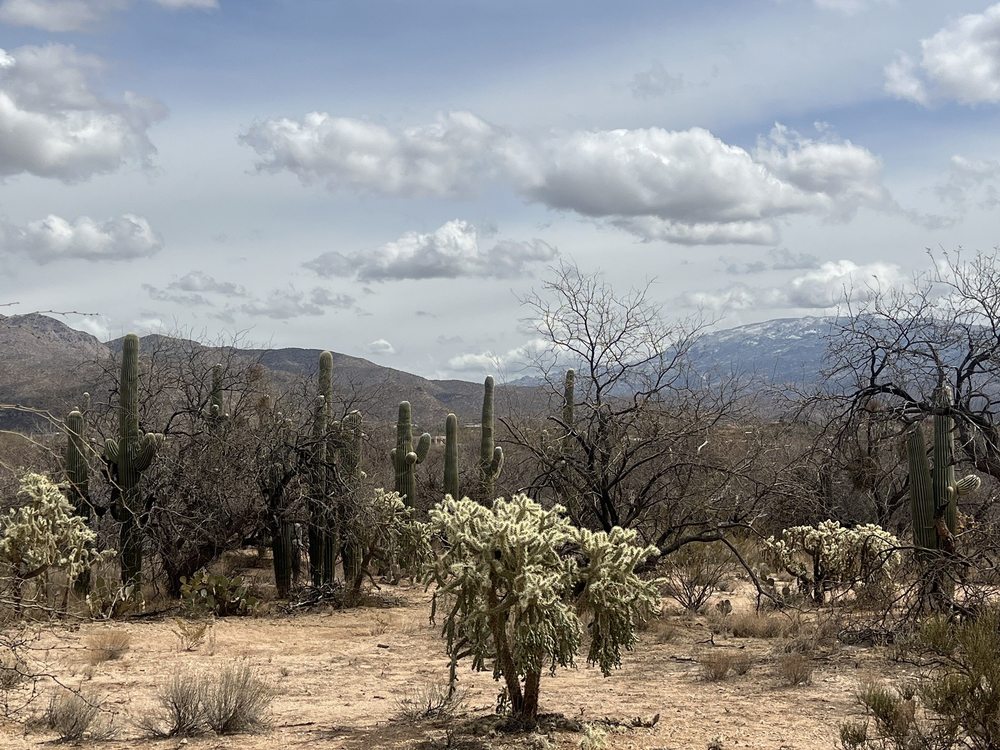 Carondelet St Joseph's Hospital - patient advocate in Tucson, AZ