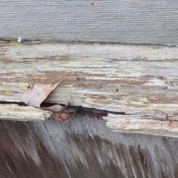 Sound Home Inspections - Dry rot on exterior window sill.