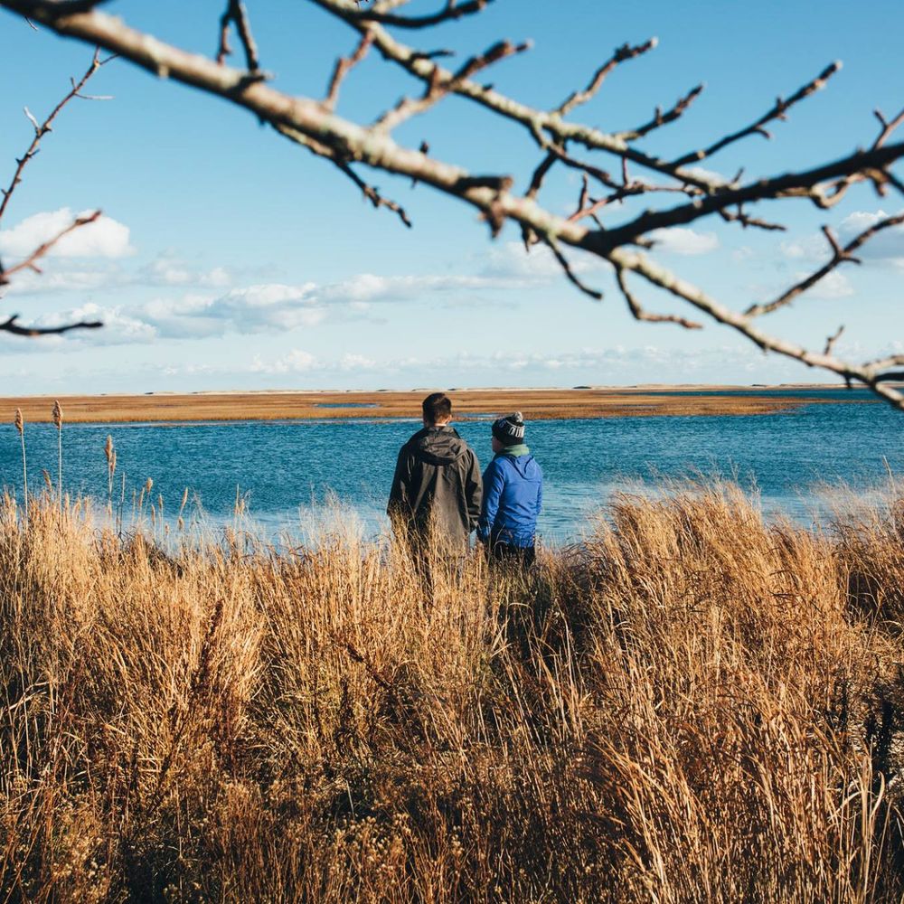Fort Hill Bed & Breakfast - Marsh men. - Bed & Breakfast Near Me - Eastham, Massachusetts