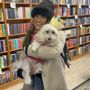 Photo of Lilliput Books