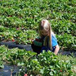 Wabi Sabi Farms