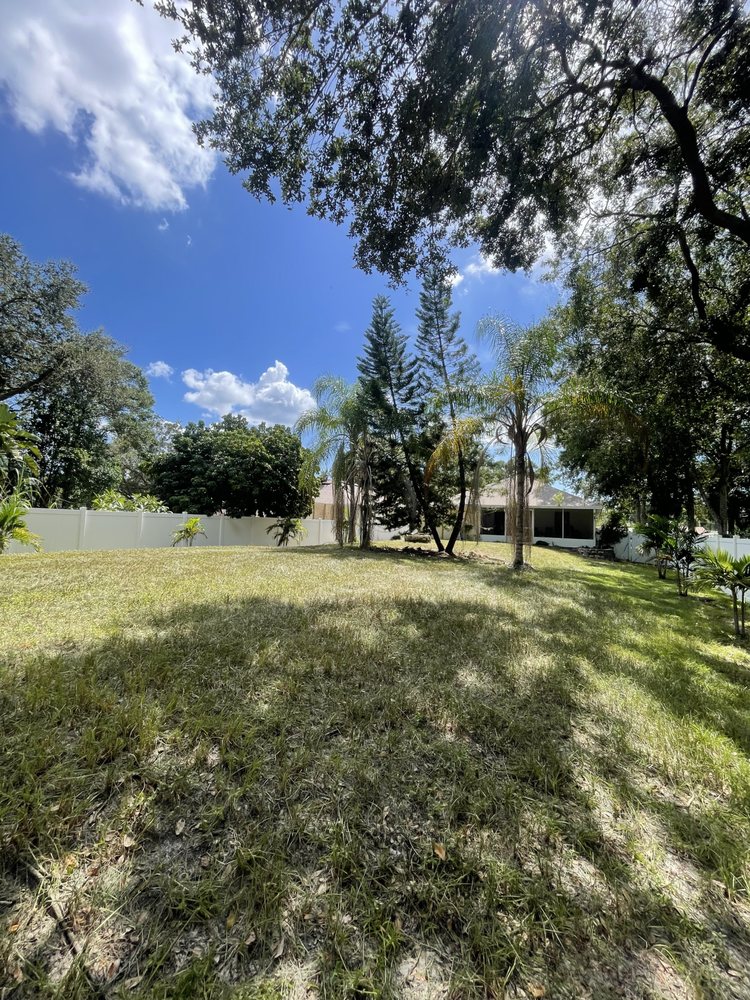 Slide of Bay Area Landscape and Pressure Washing