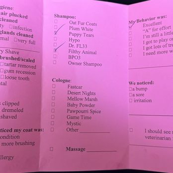 Rozo Dog Spa - Report card after service - Pet Groomers Near Me - Vancouver, Washington